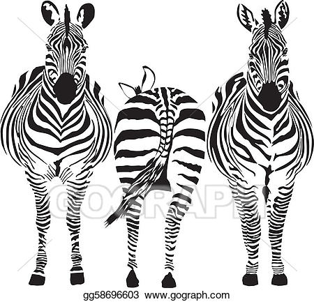 clipart zebra two
