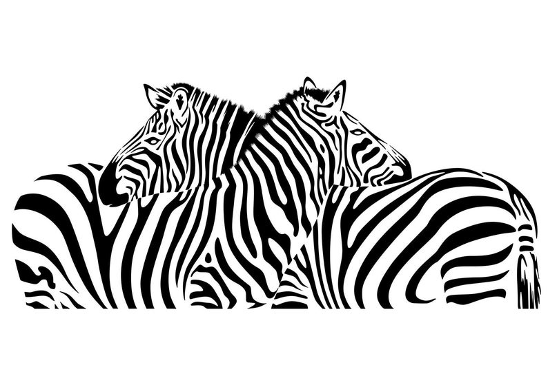 Clipart zebra two, Clipart zebra two Transparent FREE for download on ...