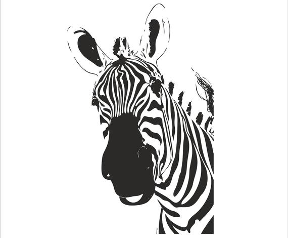 clipart zebra vector