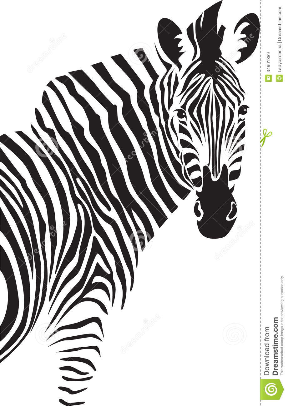 clipart zebra vector