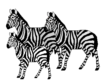 clipart zebra zebra herd