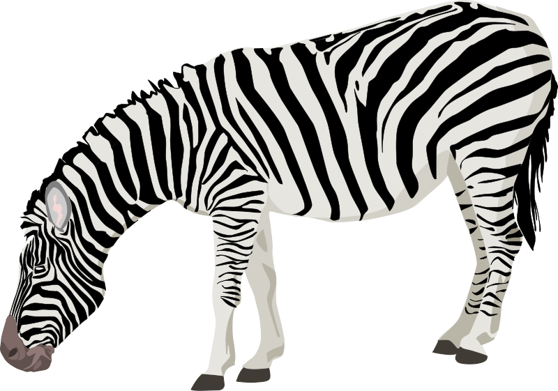 number 6 clipart zebra print