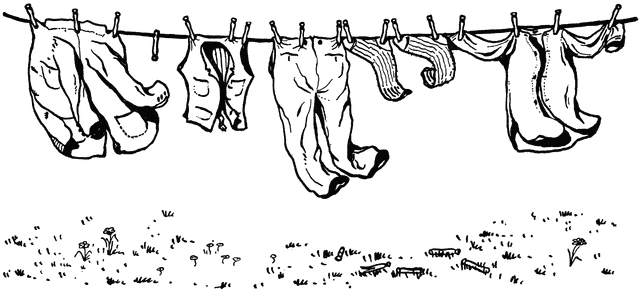 laundry clipart dried