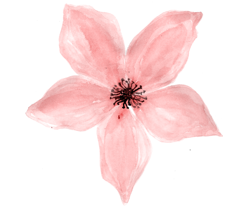 clothes clipart watercolor