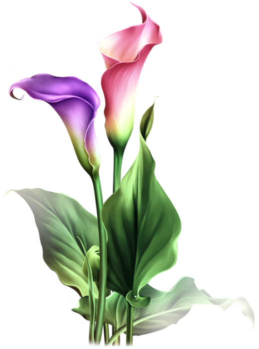 Clothes clipart watercolor. Pin by on pinterest