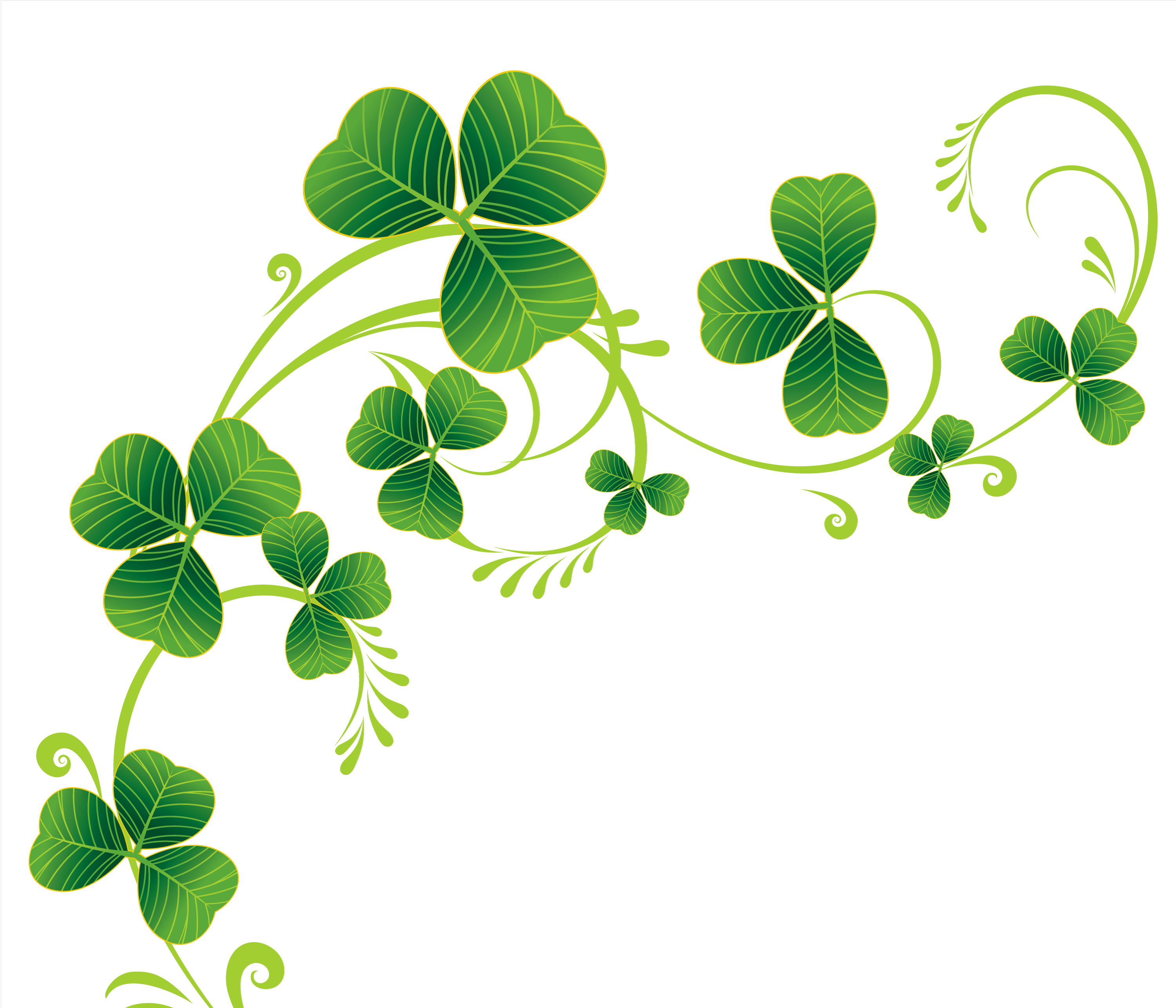 clover clipart clear background