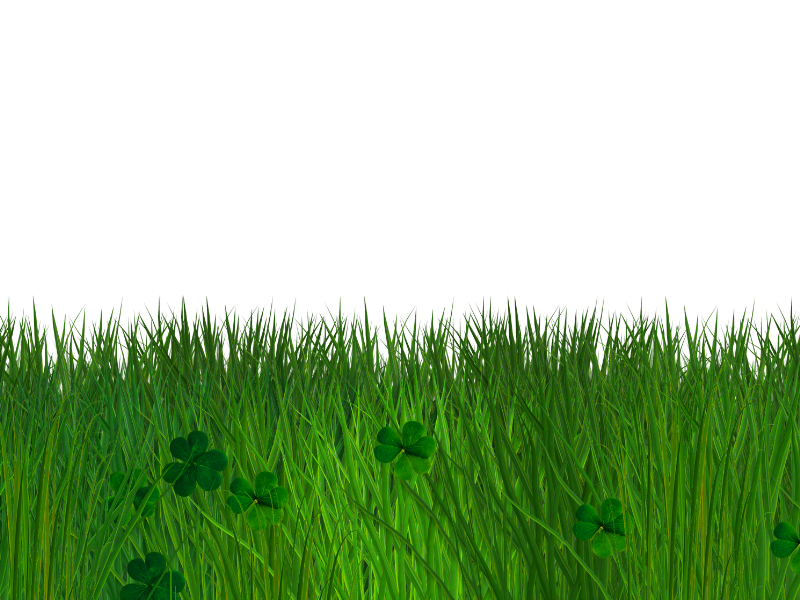 Clover clipart clover grass. Green and border with