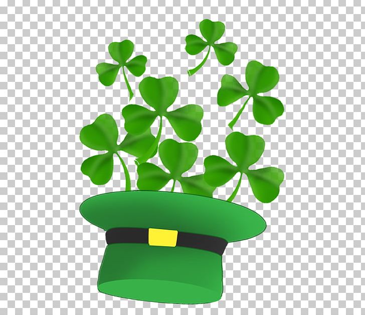 Saint patricks day shamrock. Clover clipart leprechaun