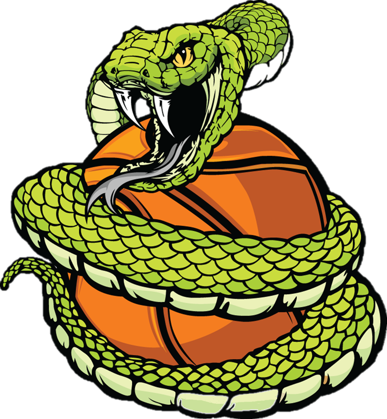 Green clipart cobra. Basketball league tournament brackets