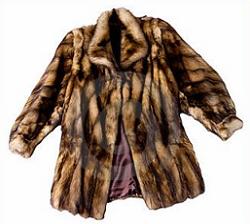 coat clipart fur coat