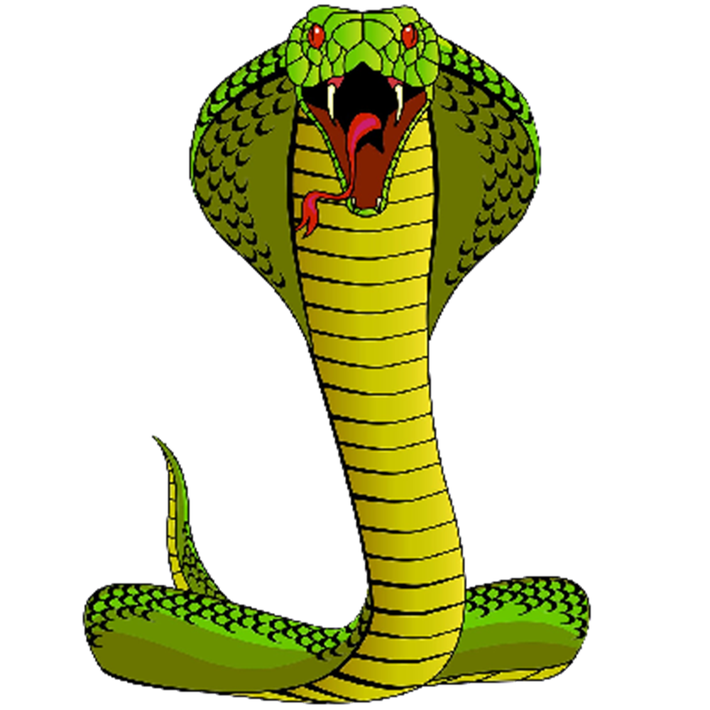 Cobra clipart coiled snake, Cobra coiled snake Transparent FREE for