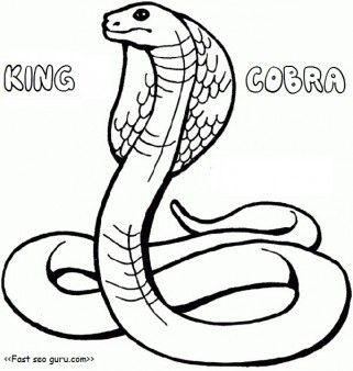 cobra clipart coloring page
