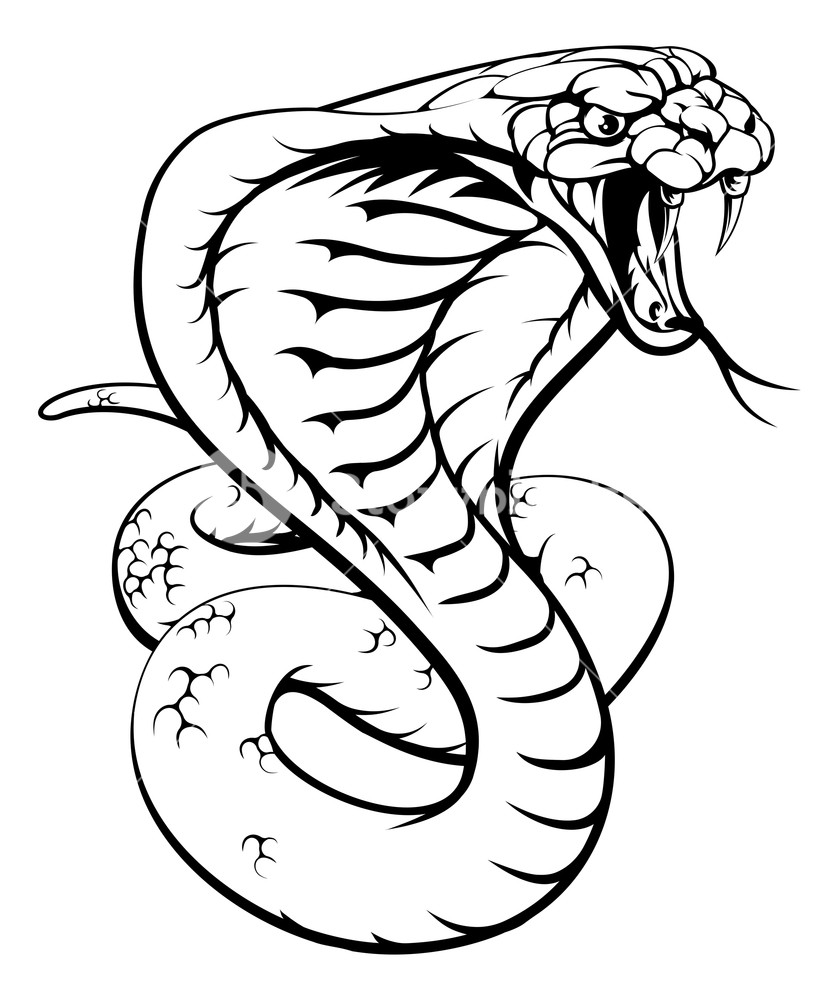 Эскиз тату змея с открытой пастью