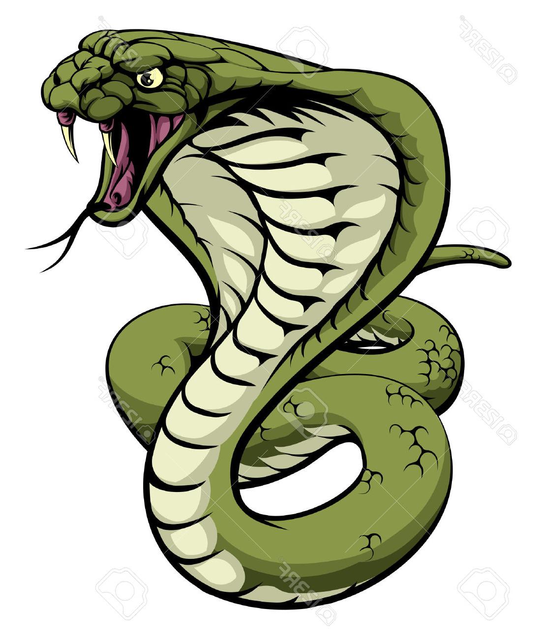 Free download best on. Cobra clipart king cobra