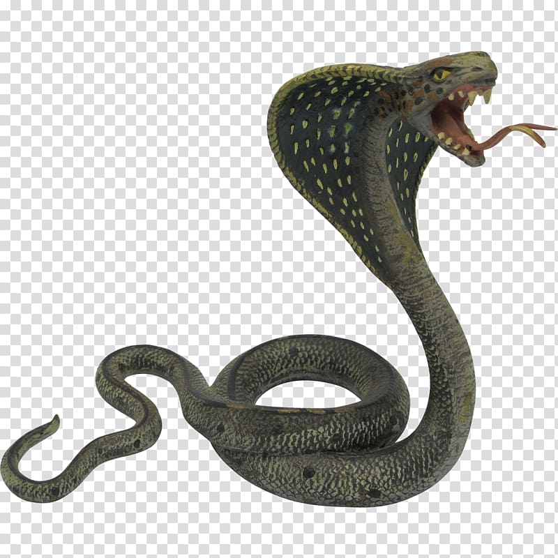 cobra clipart mamba snake