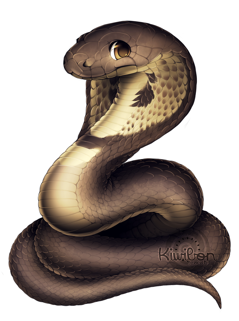 cobra clipart python snake