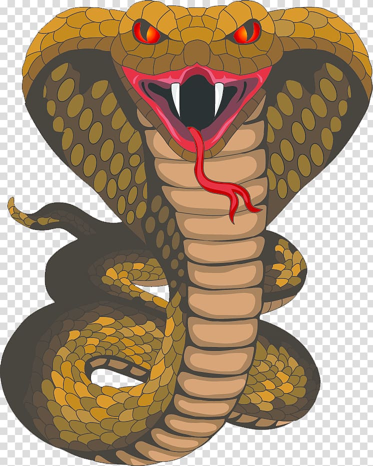 Cobra clipart python snake, Cobra python snake Transparent FREE for