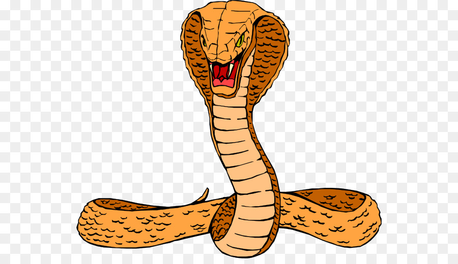 cobra clipart reptile