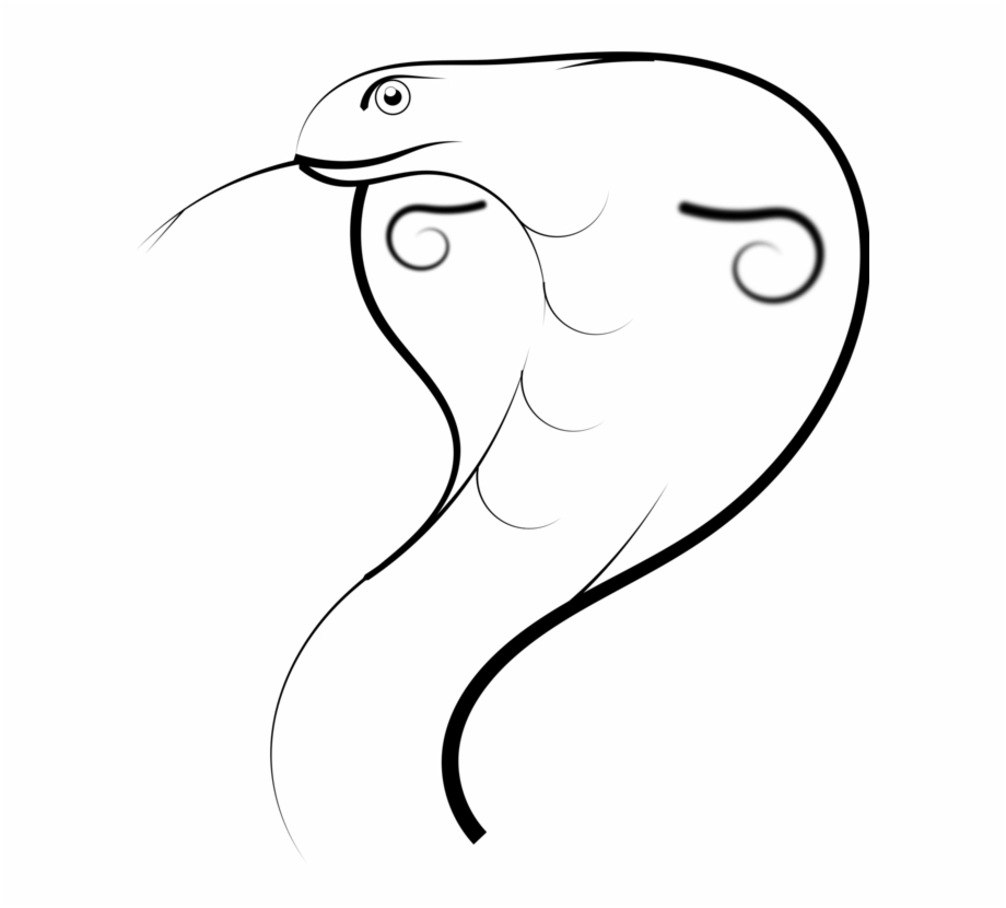 Drawing snakes pencil line. Cobra clipart sketches