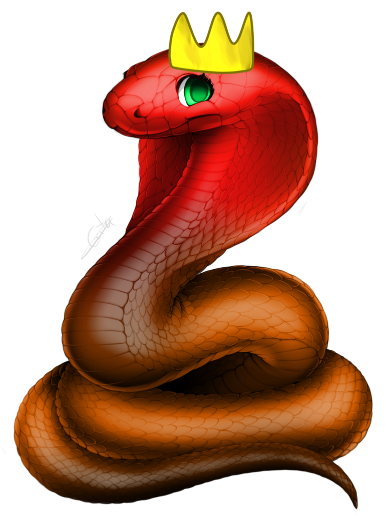 cobra clipart snake charmer