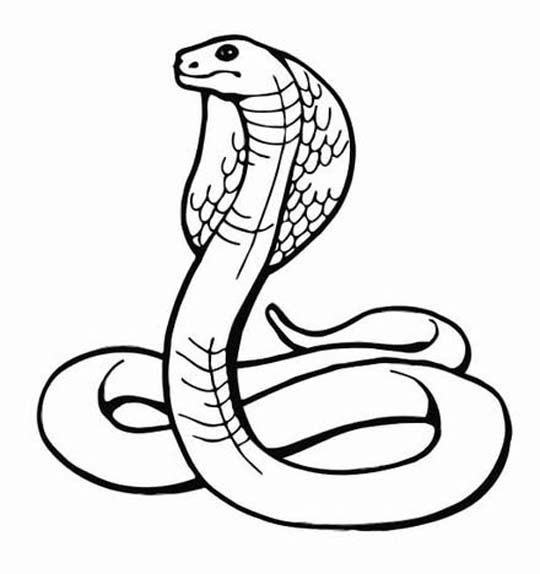 cobra clipart snake egyptian