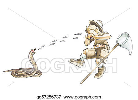 Cobra clipart spitting cobra. Stock illustration giant drawing