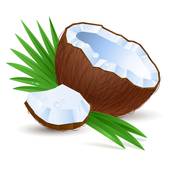 Coconut clipart. Clip art royalty free