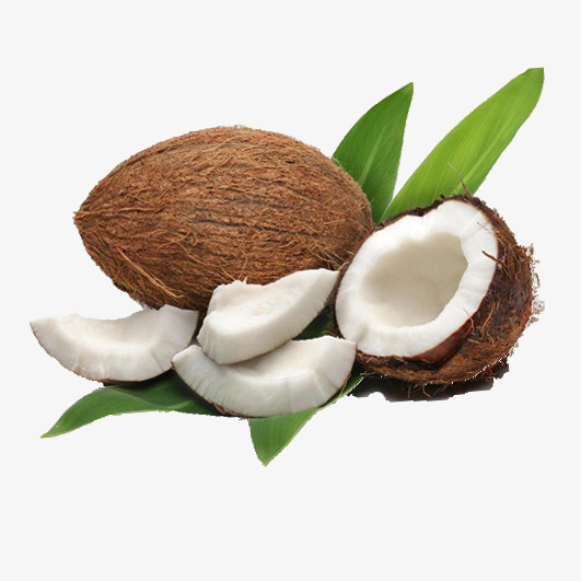 Coconut clipart. Oil health png image
