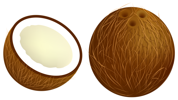 coconut clipart animated