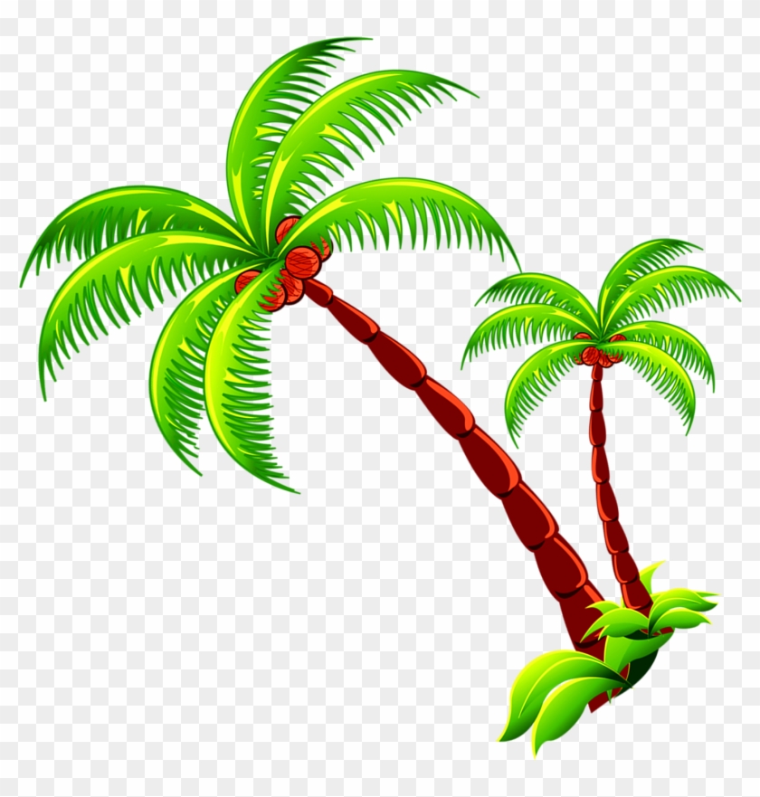 Coconut clipart branch. Tree free photo png