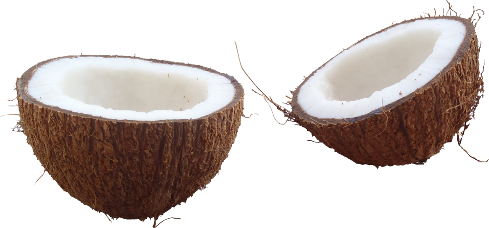 coconut clipart broken