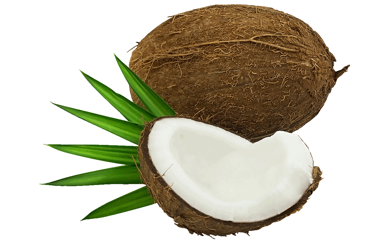 coconut clipart cartoon