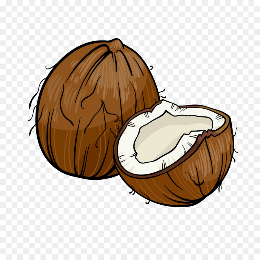 Illustration graphics . Coconut clipart cartoon