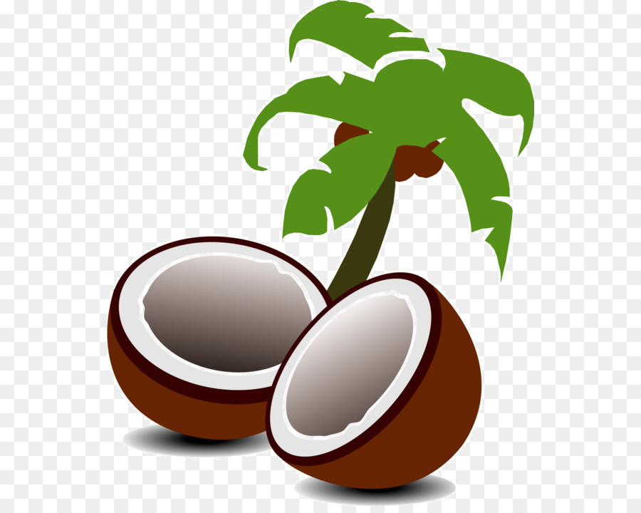 coconut clipart coco