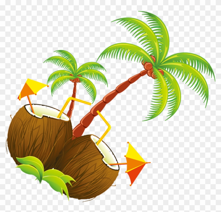 coconut clipart coco
