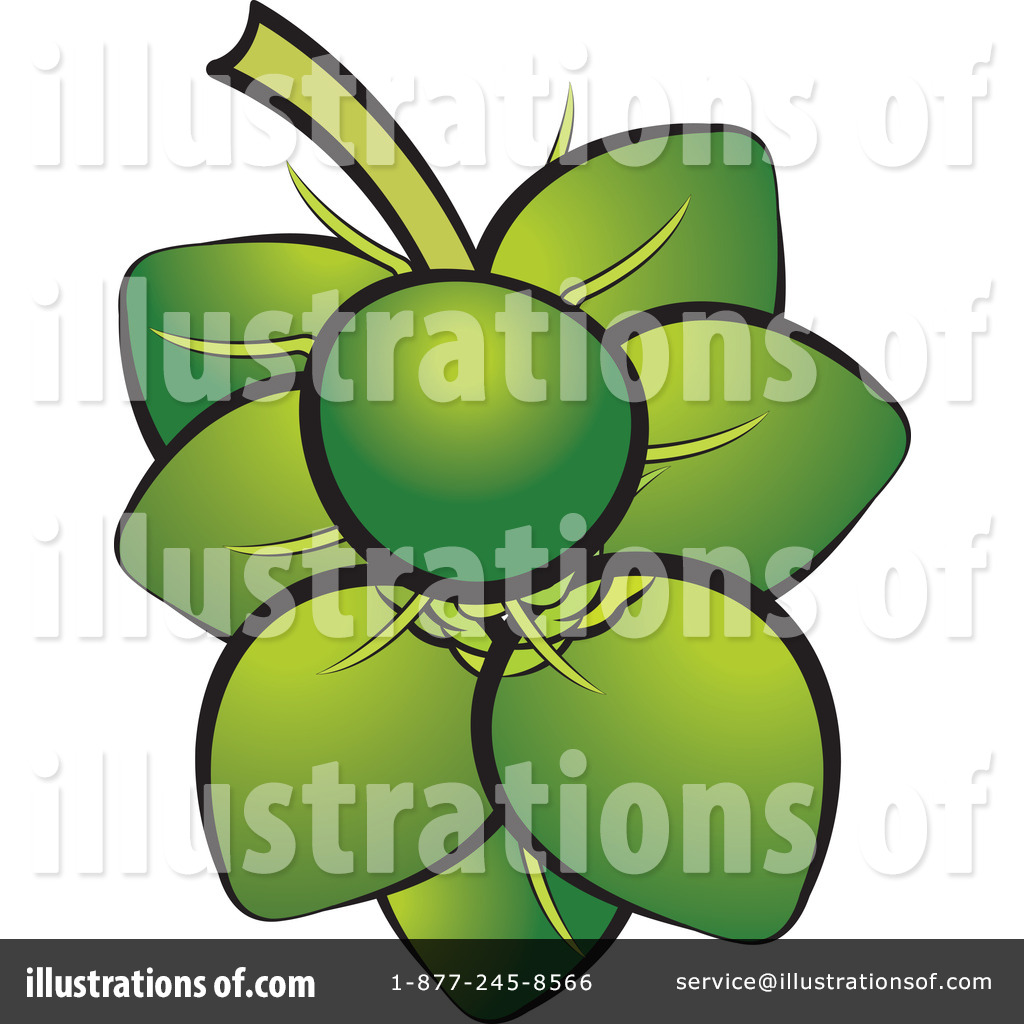 Illustration by lal perera. Coconut clipart coconut bunch