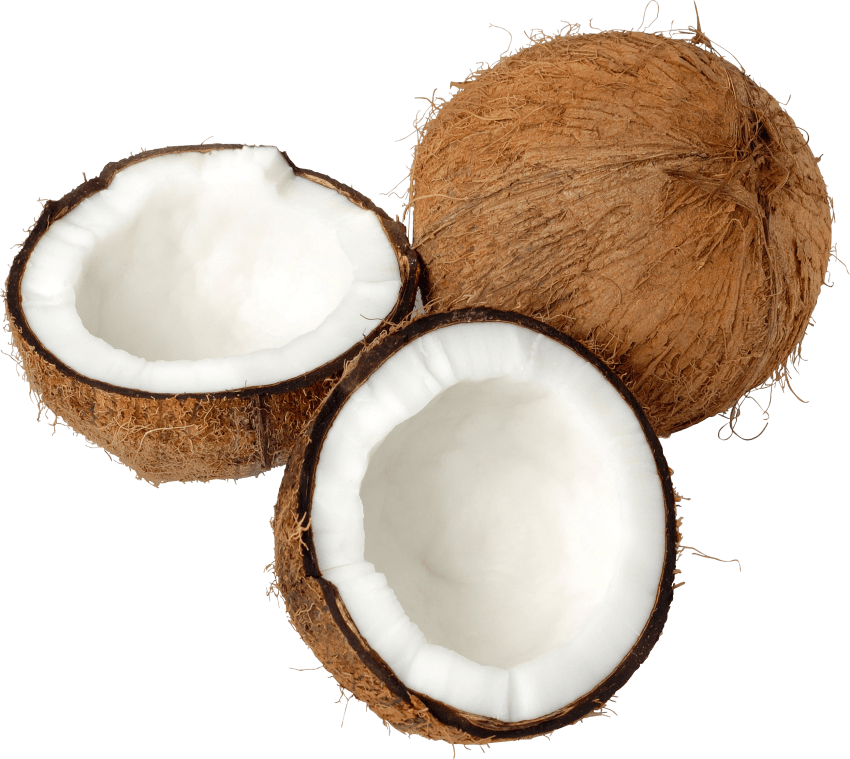 Coconut clipart coconut cocktail. Png free images toppng