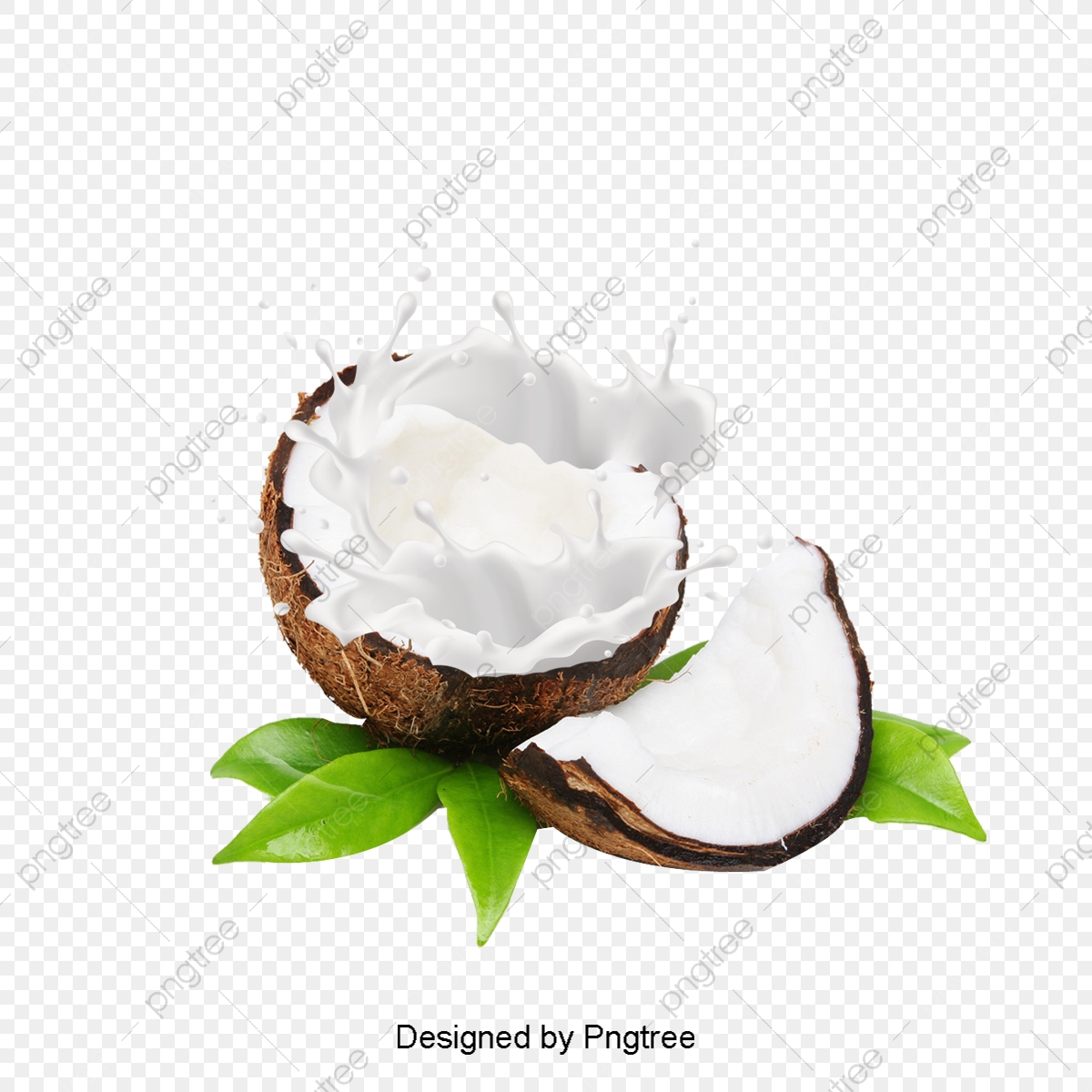 coconut clipart coconut cream