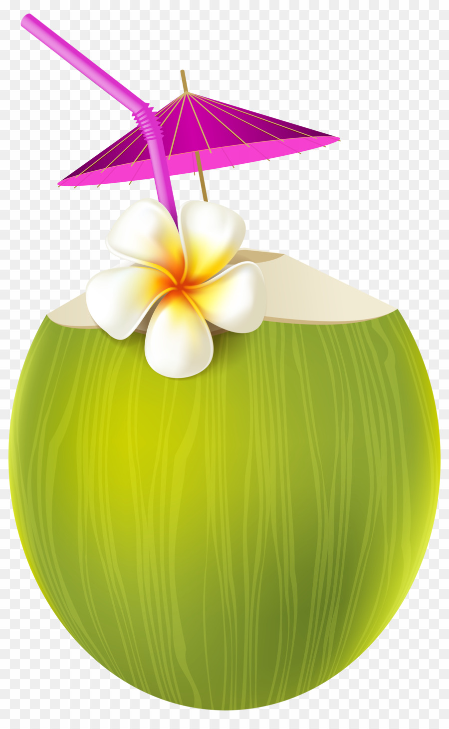 coconut clipart coconut drink