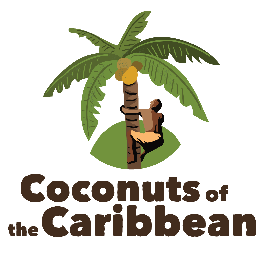 coconut clipart coconut farm