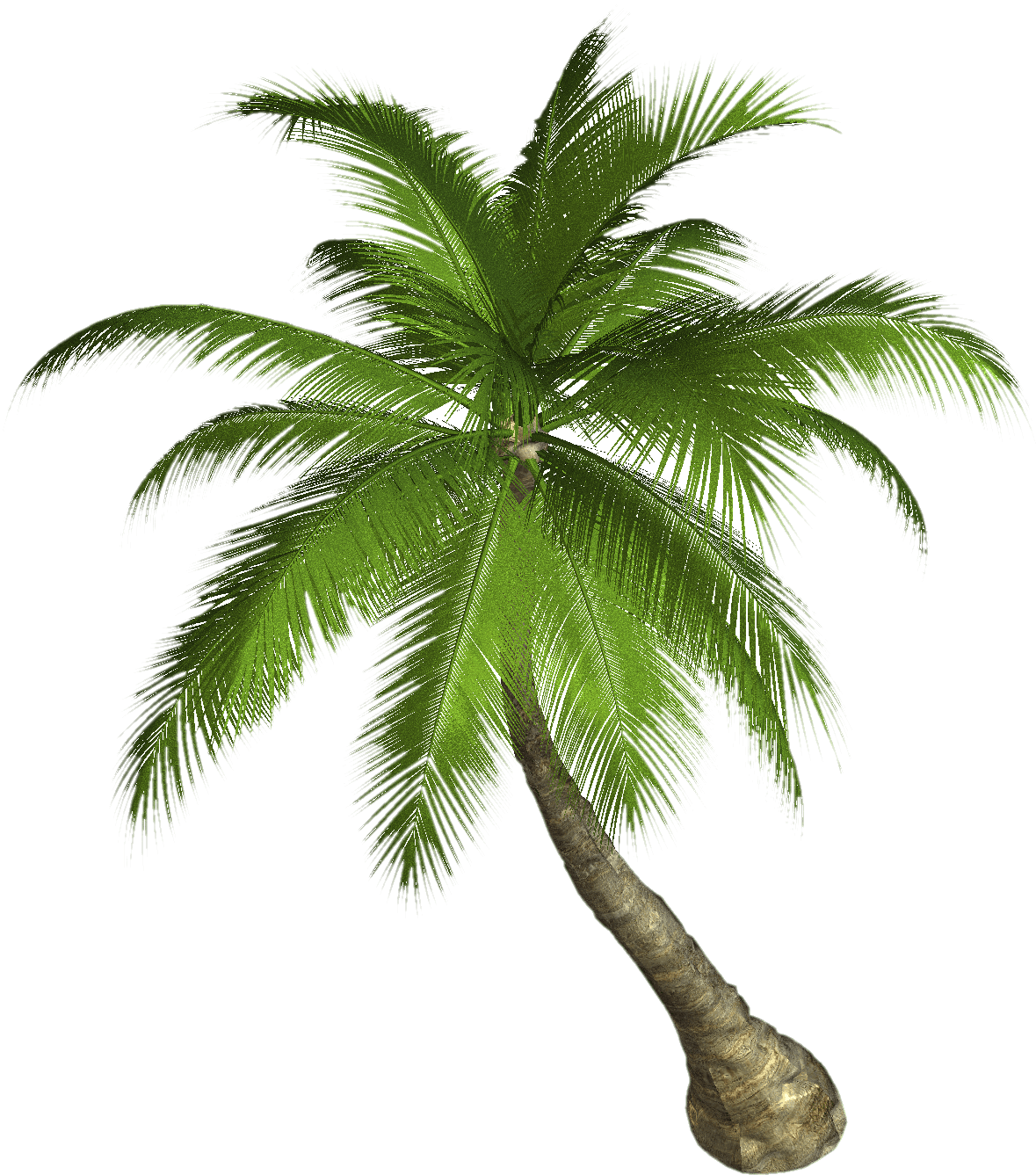 palm clipart royalty free