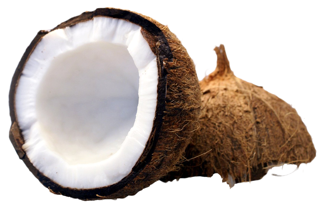 Cut in half png. Coconut clipart coconut fruit