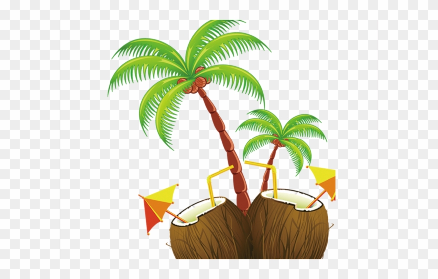 hawaiian clipart coconut tree