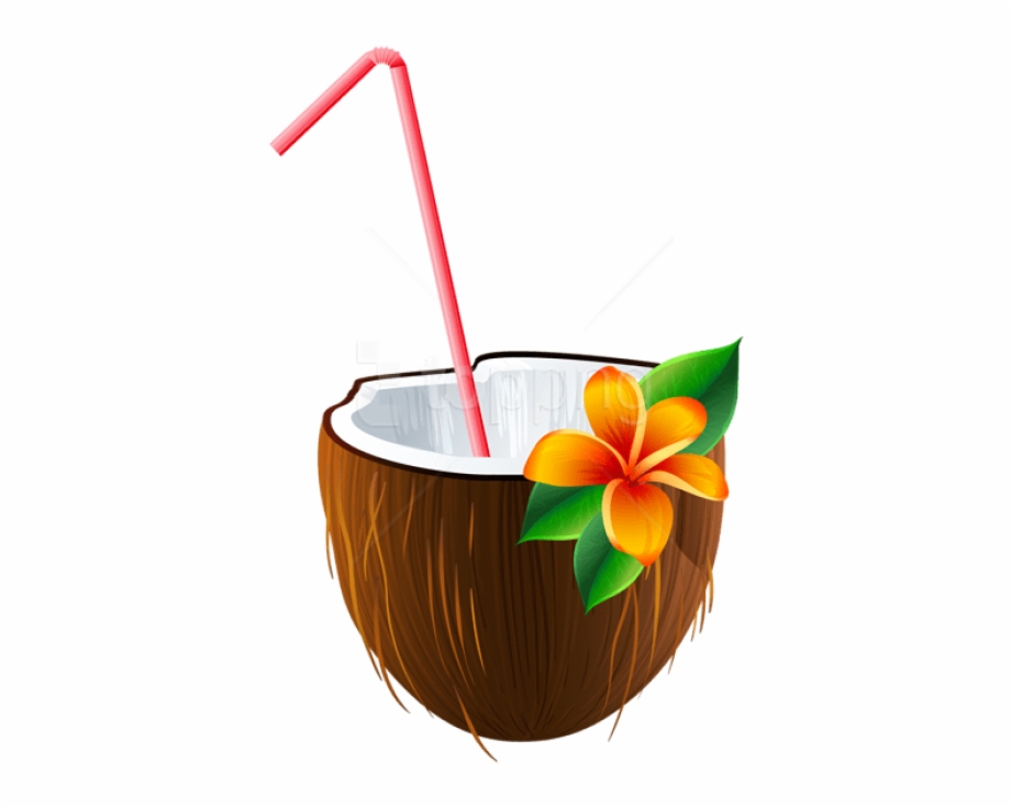 Hawaii clipart hawaiian coconut. Drink png free images