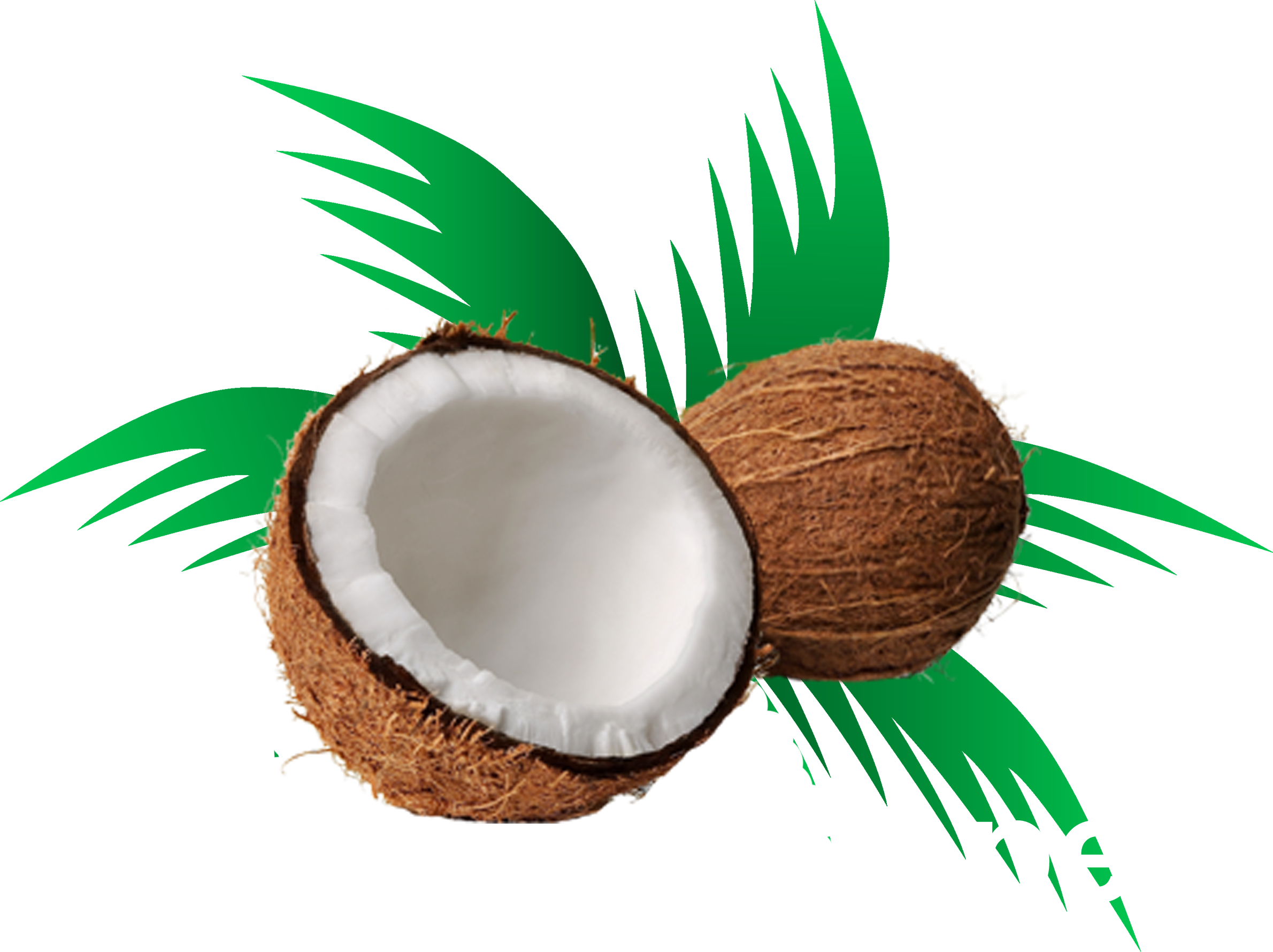 Coconut clipart coconut husk. Use cocopeat as a