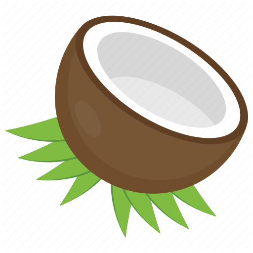  nature trees and. Coconut clipart coconut husk