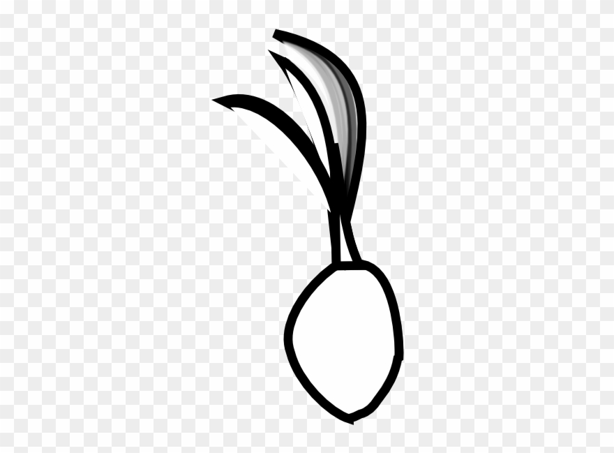 coconut clipart coconut seed