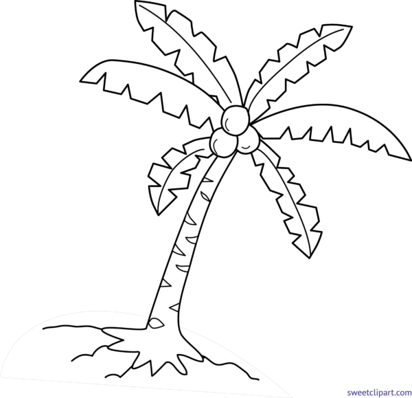 coconut clipart coloring page