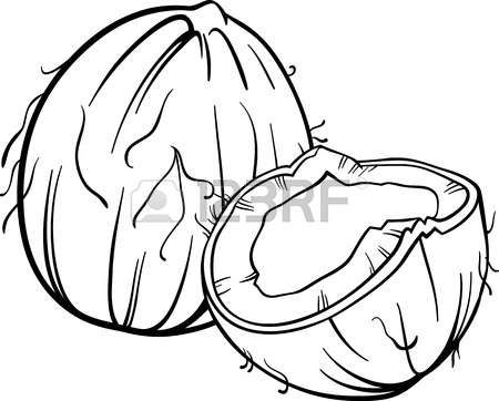 coconut clipart coloring page