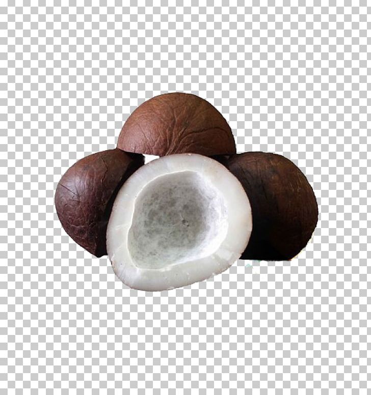 Coconut clipart copra. Dried fruit food drying
